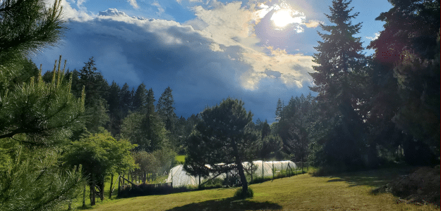Offhand Farm