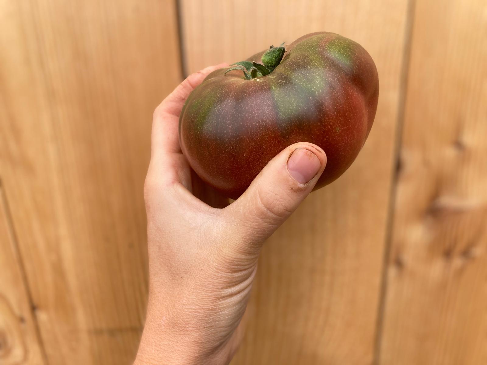 Heirloom tomato