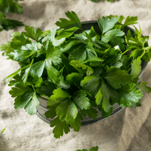 Parsley